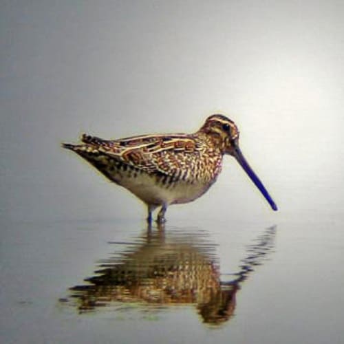 Pasea en barca por el día - Imagen 4