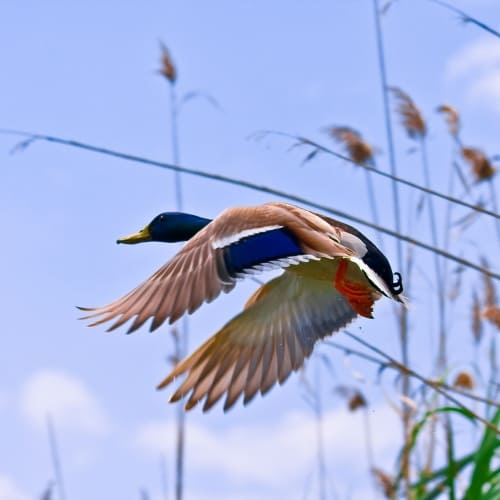 Pasea en barca por el día - Imagen 2