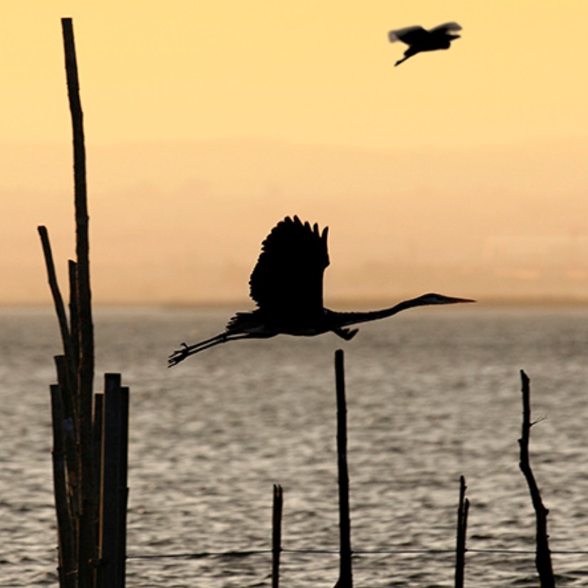 Puesta de sol en barca